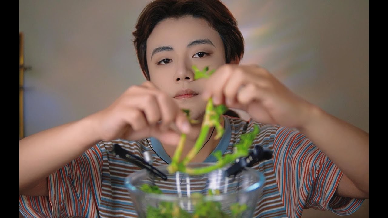 【Gen Gen】The chew of ice grass, the sensation of bursting water beads