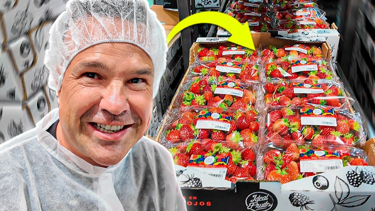 Así Funciona Desde Dentro Esta Empresa de Fresas en La España Vaciada (IdealFruits)