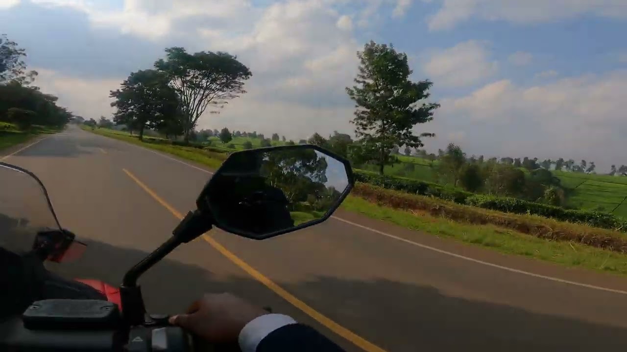 Losowe trasy amperi Lion Kenya