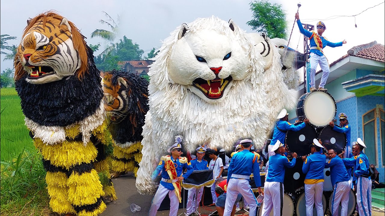 CAN MACANAN DAN DRUMBAND SINGO MANGGALA DI NURUL ANWAR TEGAL MIJIN