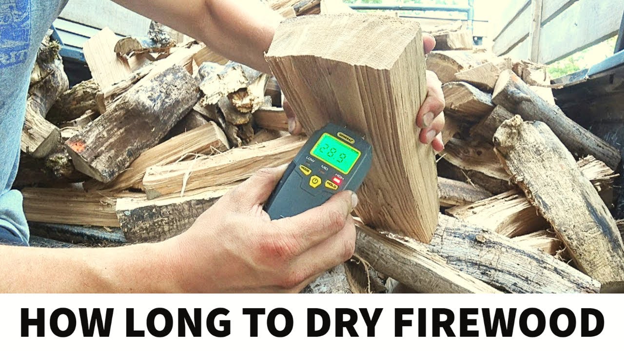 How Long Should You Dry Firewood Before Burning It?