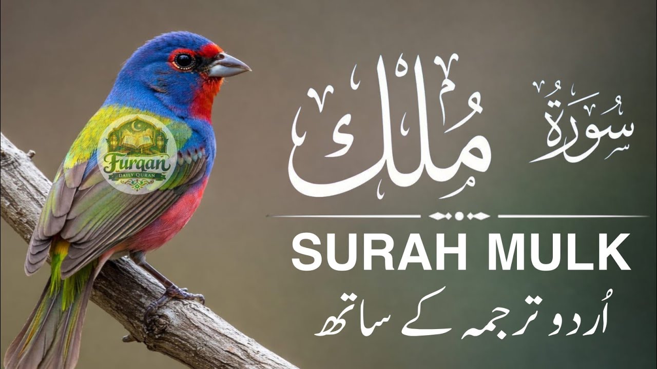 Surah Mulk With Urdu Translation By Qari Ala Aqel | Urdu And Hindi Tarjuma Episode 21