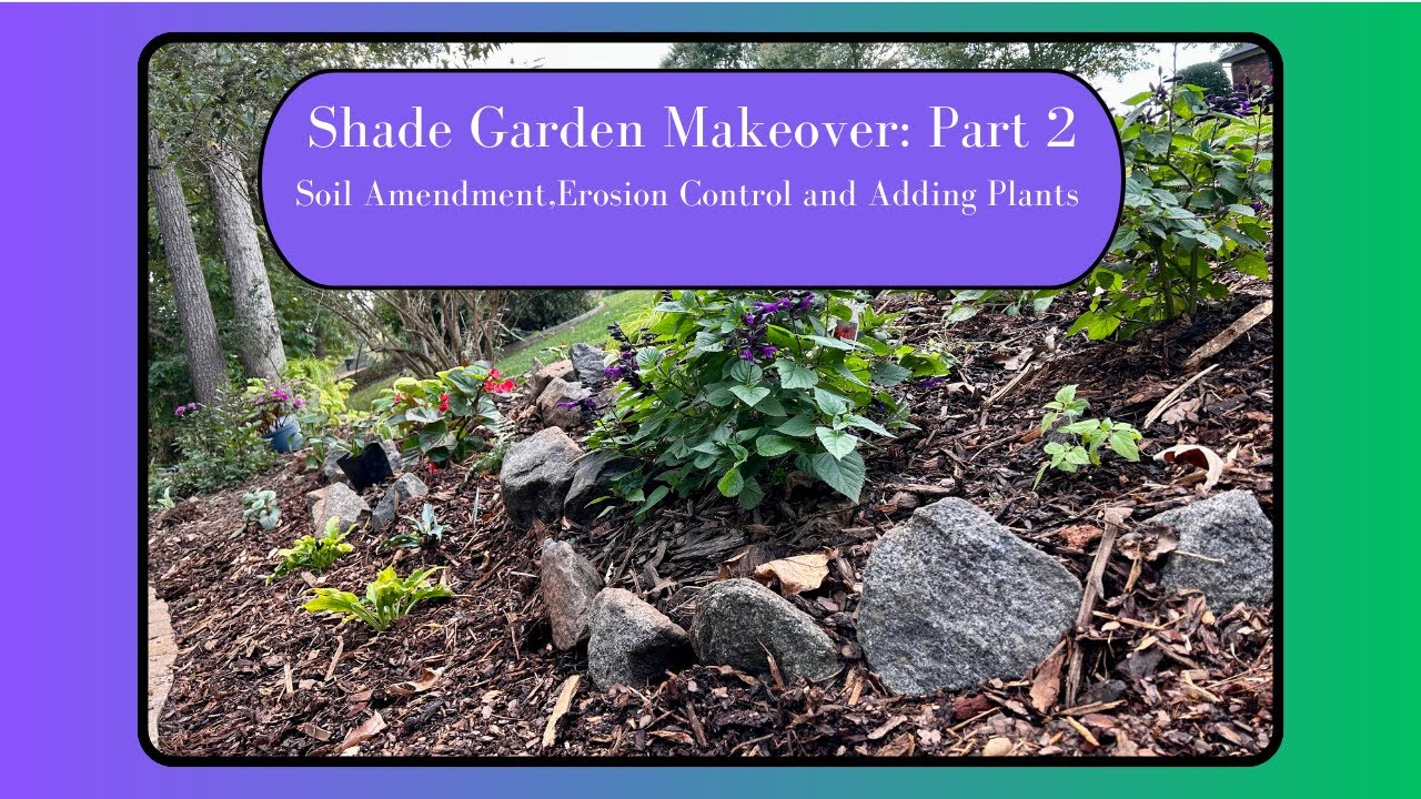 Shade Garden Make-Over using my  Economical Composting Method!