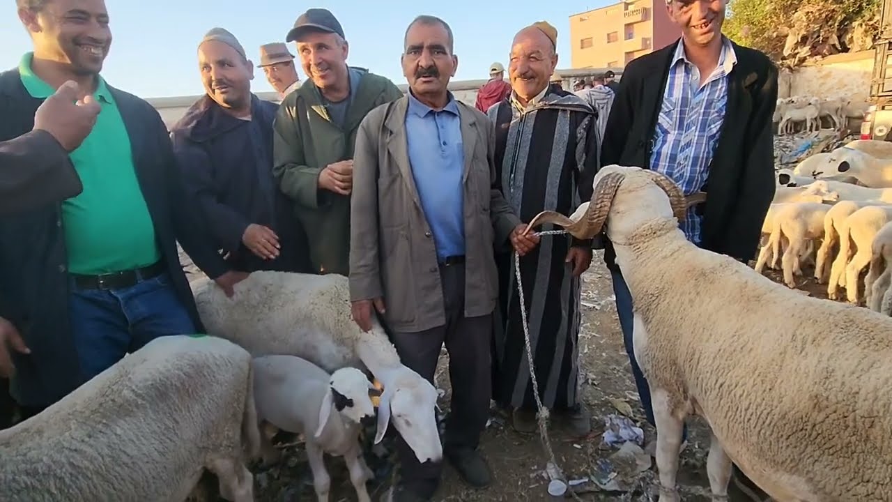 خيرات موجودة في سوق الأسبوعي تلات لولاد نقدم لكم أتمنة نعجة