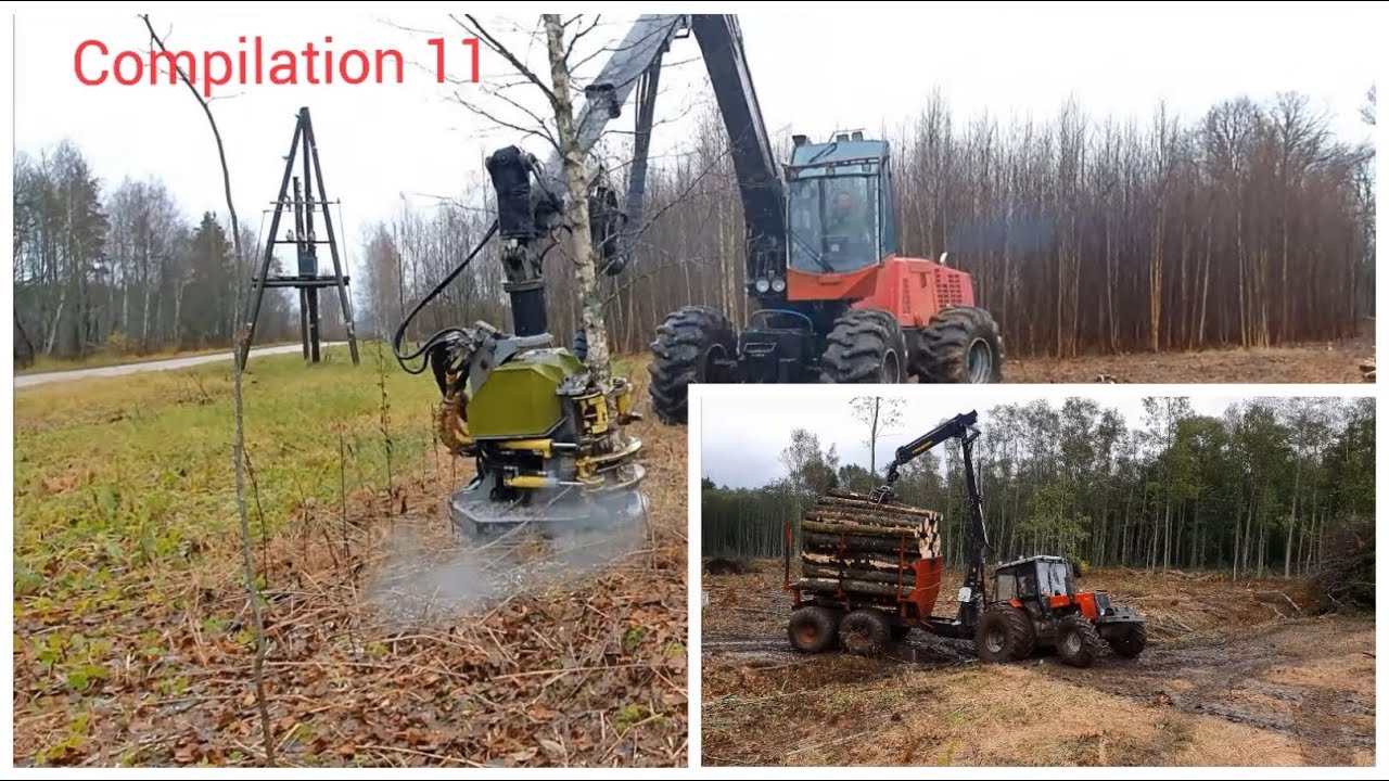 Work in forest compilation..11(HD)