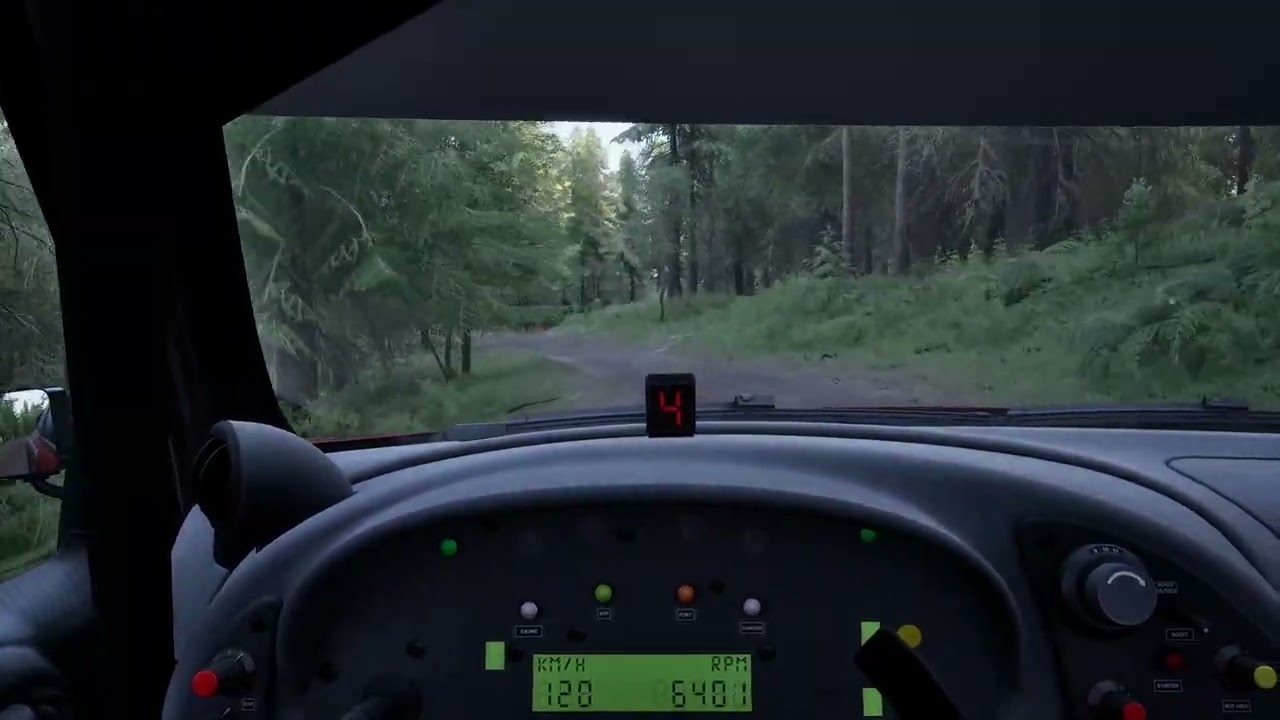 Assetto Corsa Rally / France - Alsace / Vallée de Munster Descente