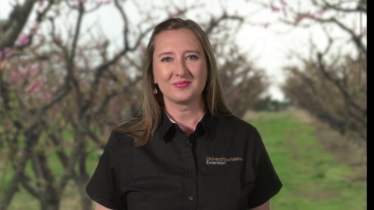 Part 1: Introduction to the Produce Safety Rule—with Spanish Voice over and Subtitles