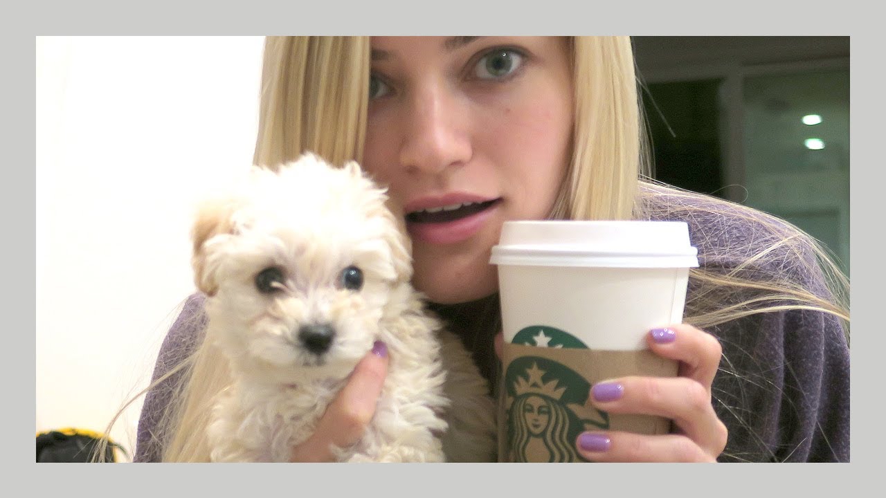 Life with a puppy | iJustine