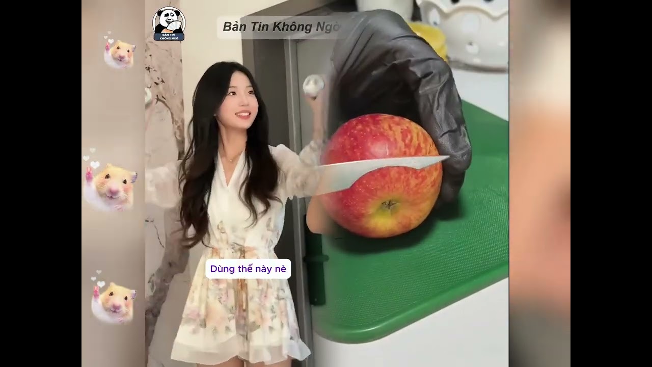 🤣👌👌👌2026 pov Must-Watch Crazy Clips Compilation #humor #fypシ #pov #fyp #foryou 😍😜