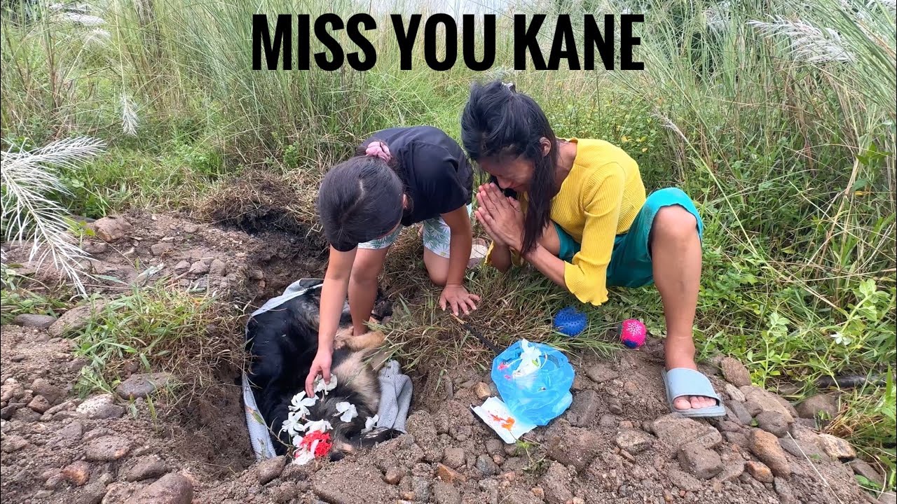 We Will Miss You Kane 😭 Forever