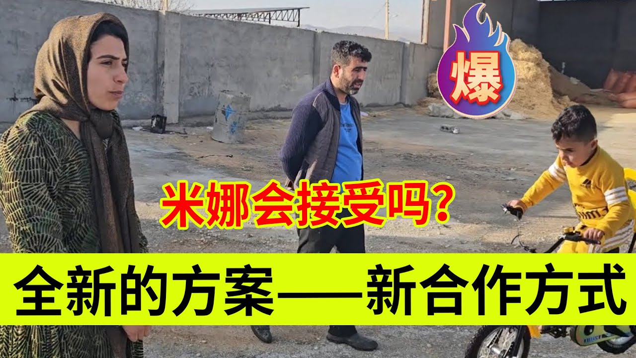 一种全新的合作方式，米娜会接受吗？伊朗女人米娜纪录片最新后续