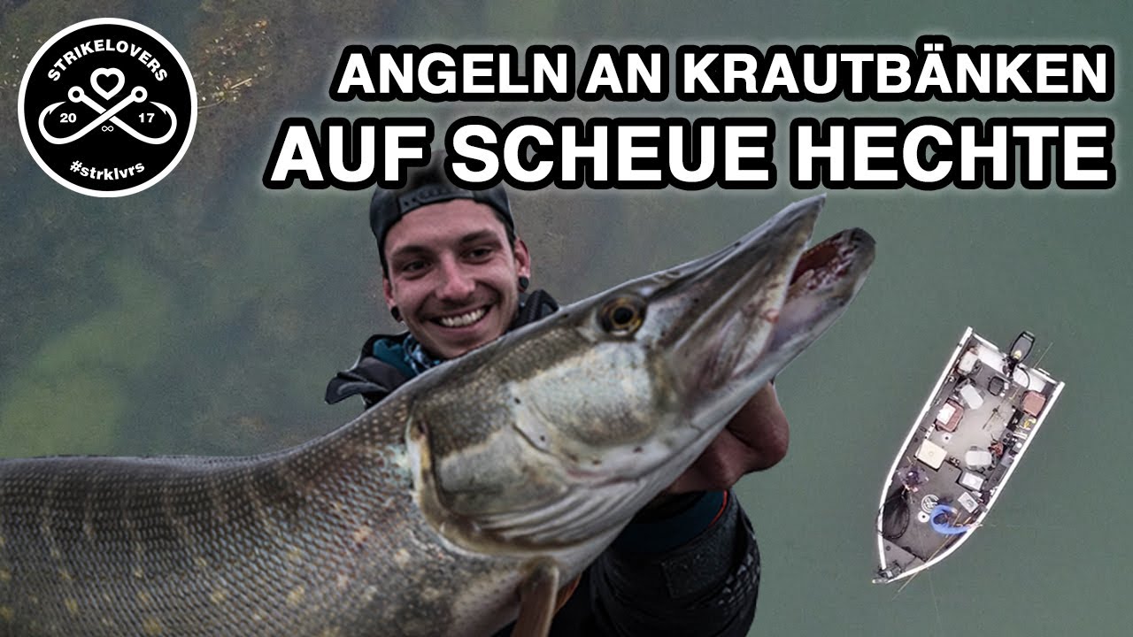 Fette HERBSTHECHTE mit Swimbaits & Jerkbaits 🎣❤️ Hechtangeln vom Boot aus im Fluss
