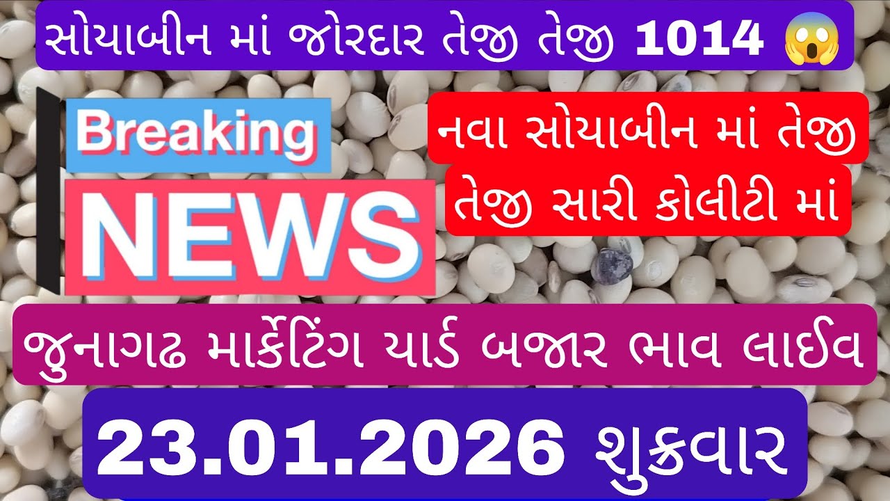 નવા સોયાબીન ના બજાર ભાવ લાઈવ જુનાગઢ માર્કેટિંગ યાર્ડ  #મગફળીનાભાવ #mungfali #મગફળી #soyabean#સોયાબીન