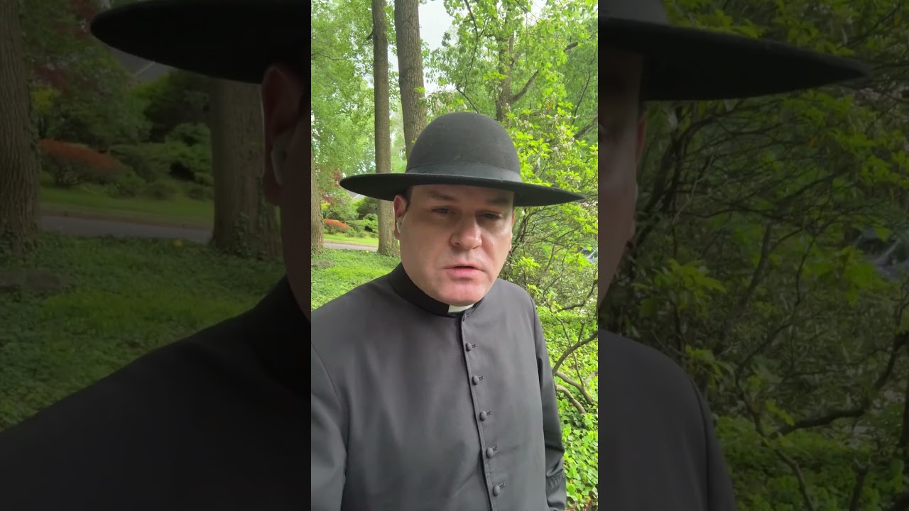 Introducci&oacute;n Al Sedevacantismo #shorts #cat&oacute;lico