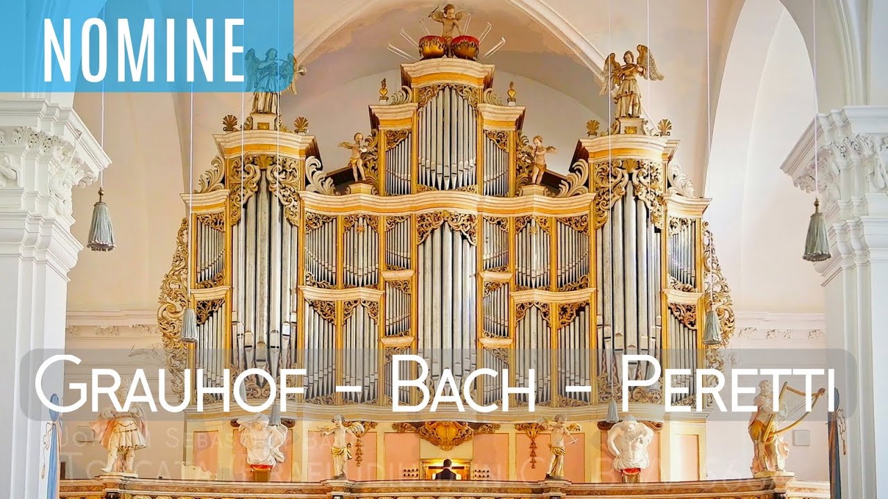 Grauhof | J.S. Bach, Toccata (Praeludium) in C, BWV566a | Pier Damiano Peretti, Treutmann-Orgel 1737