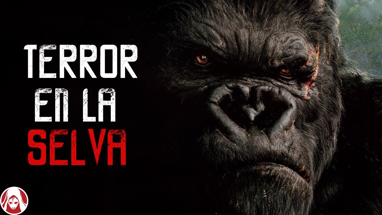 Soy Primat&oacute;logo y fui a la selva de &Aacute;frica para hacer una investigaci&oacute;n |  Relatos de Terror Cortos