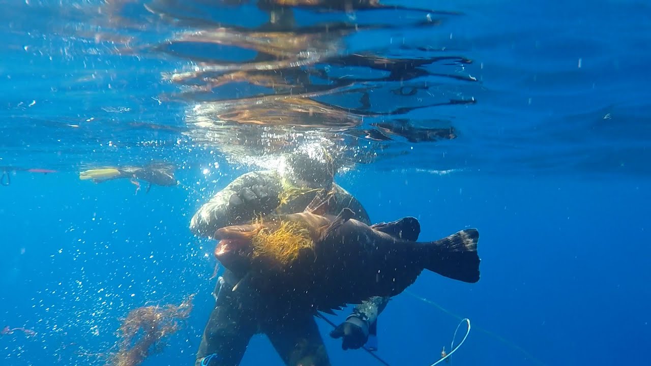 Cernia bruna al Banco Skerki Pt.3 - Pesca sub