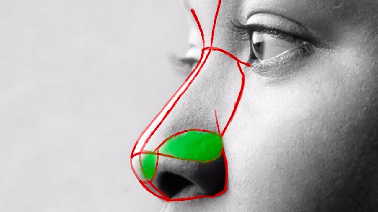 How to Easily Draw Noses | Understanding the Asaro Method Part II