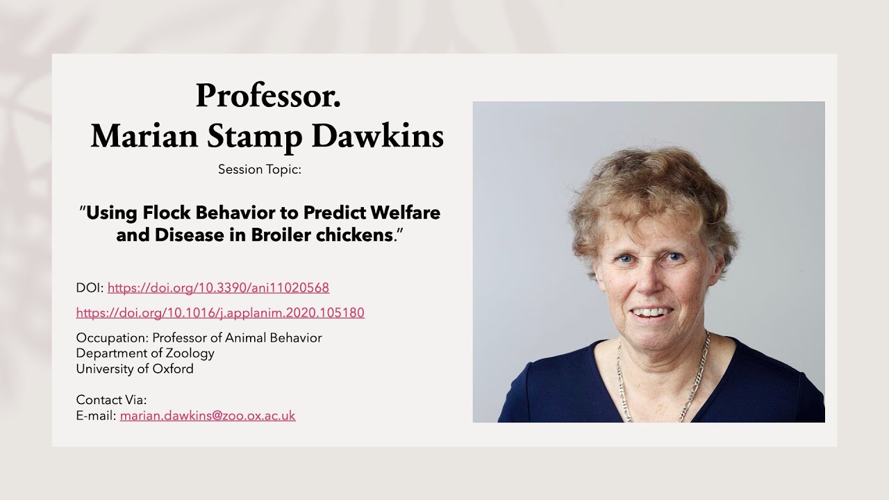 [Professor Marian Dawkins] Using Flock Behaviour to Predict Welfare and Disease in Broiler chickens