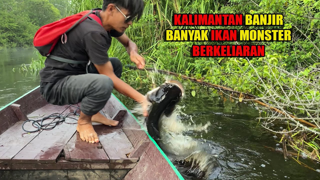 6 HARI CARI IKAN DI SUNGAI DAN RAWA YANG SEDANG BANJIR DAPAT BANYAK IKAN😅 #bocahpecicilan