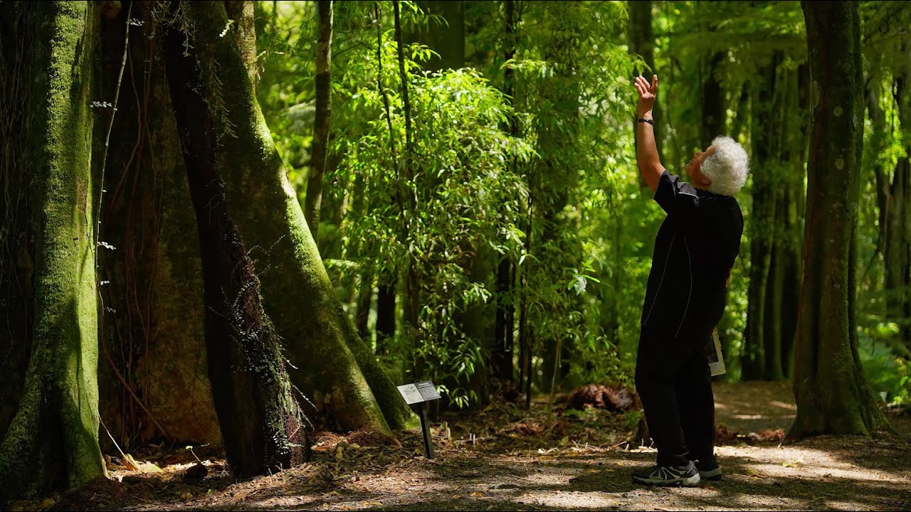 Tourism NZ | If You Seek | Sanctuary Mountain Maungatautari