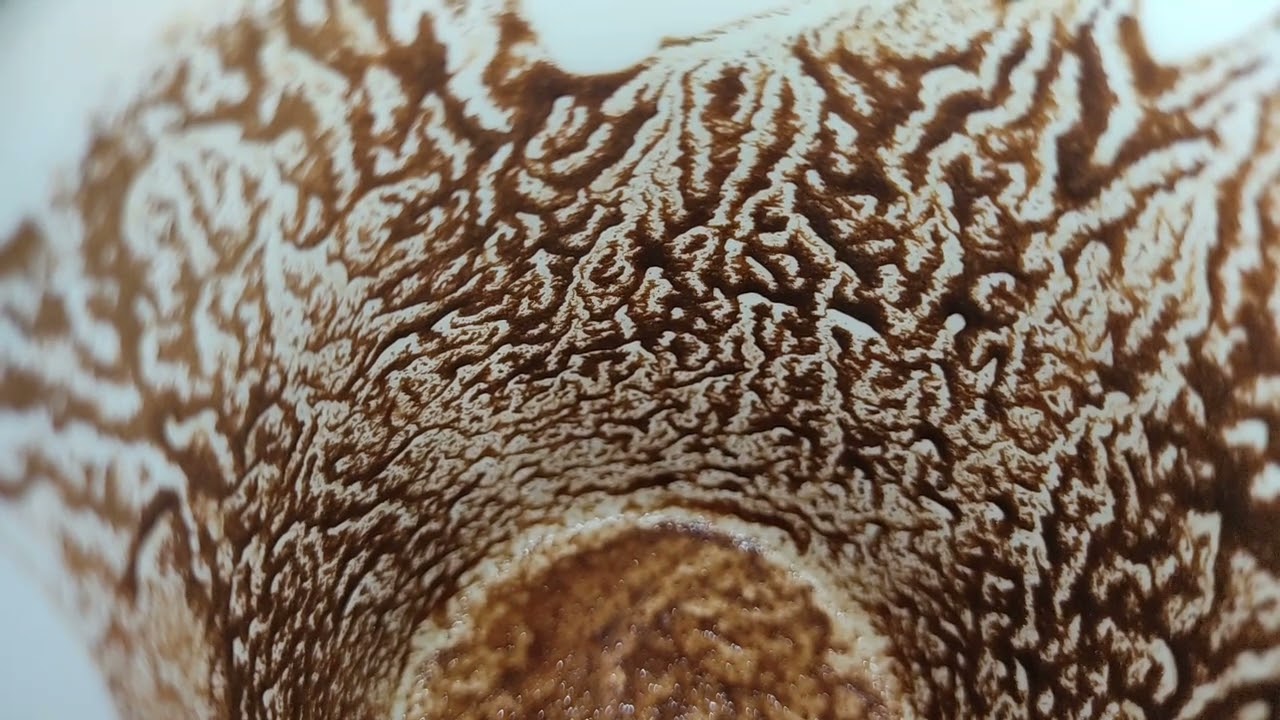 برج الدلو ♒ رزق وأبواب خير قريت منك هيرجع بعد غياب لكن بشروط #القارئه_ام_احمد