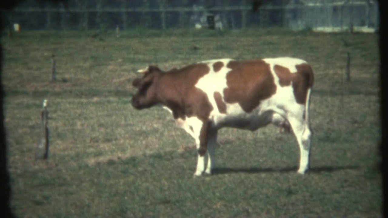 hete zomer 1976