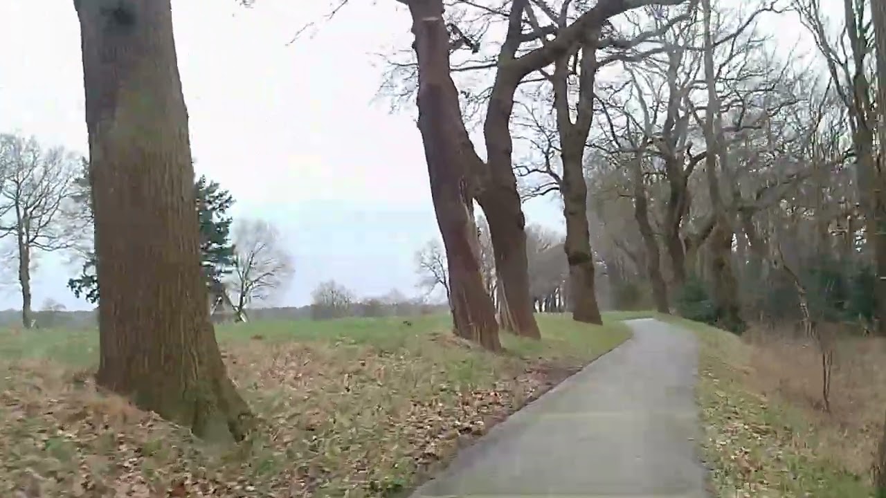 Oranjekanaal vanaf 2 minuut 2 zie ik vanaf weiland ree aan komen lopen wil fietspad over