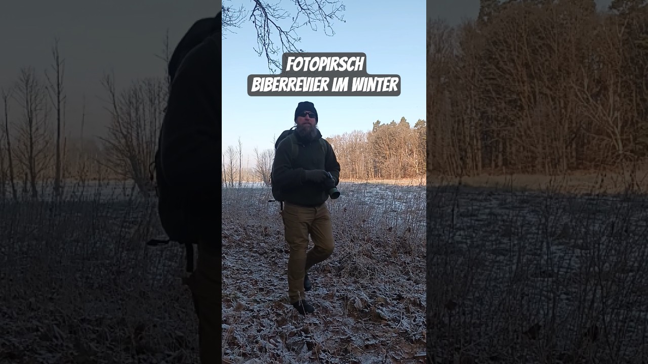 Fotopirsch - Biberrevier im Winter 