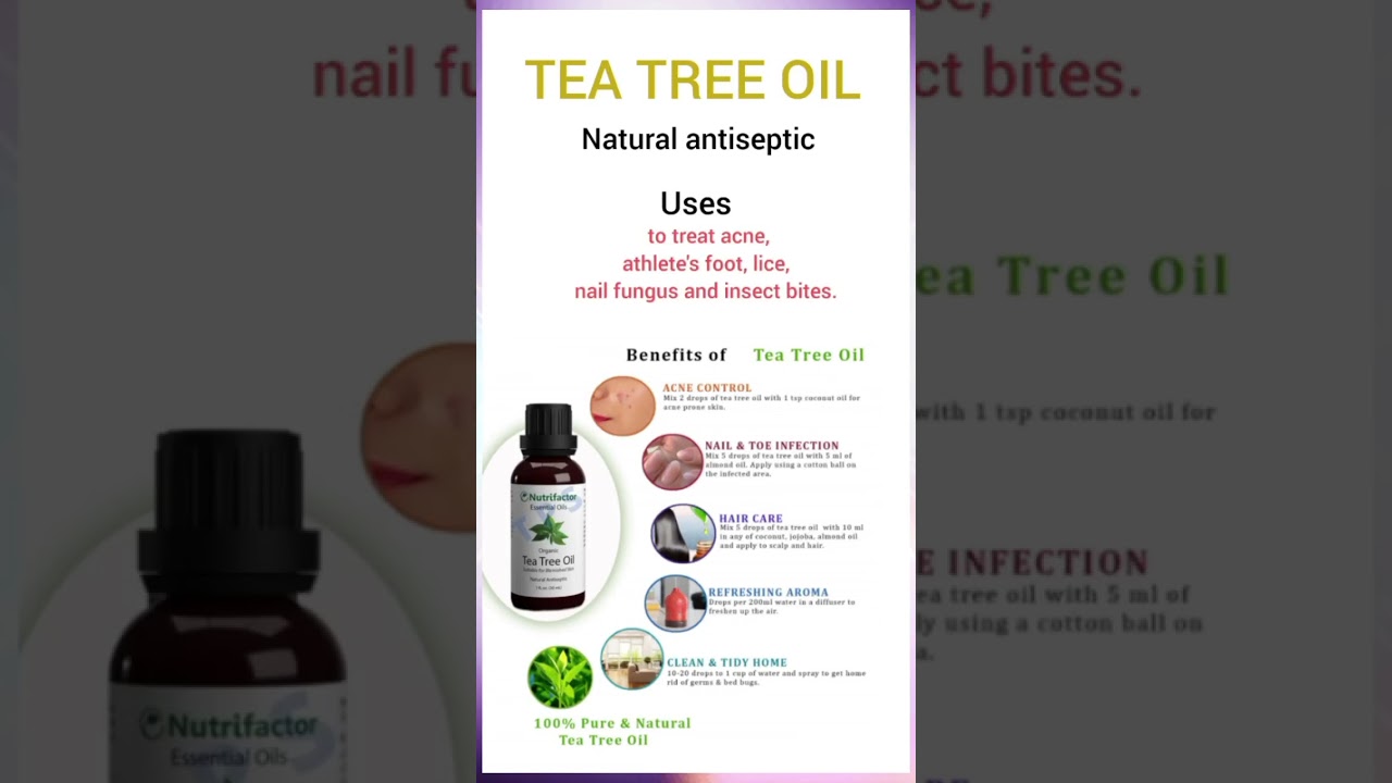 tea tree oil uses & benefits #teatree #oil #medical #youtubeshorts #viral #skincare #skininfection