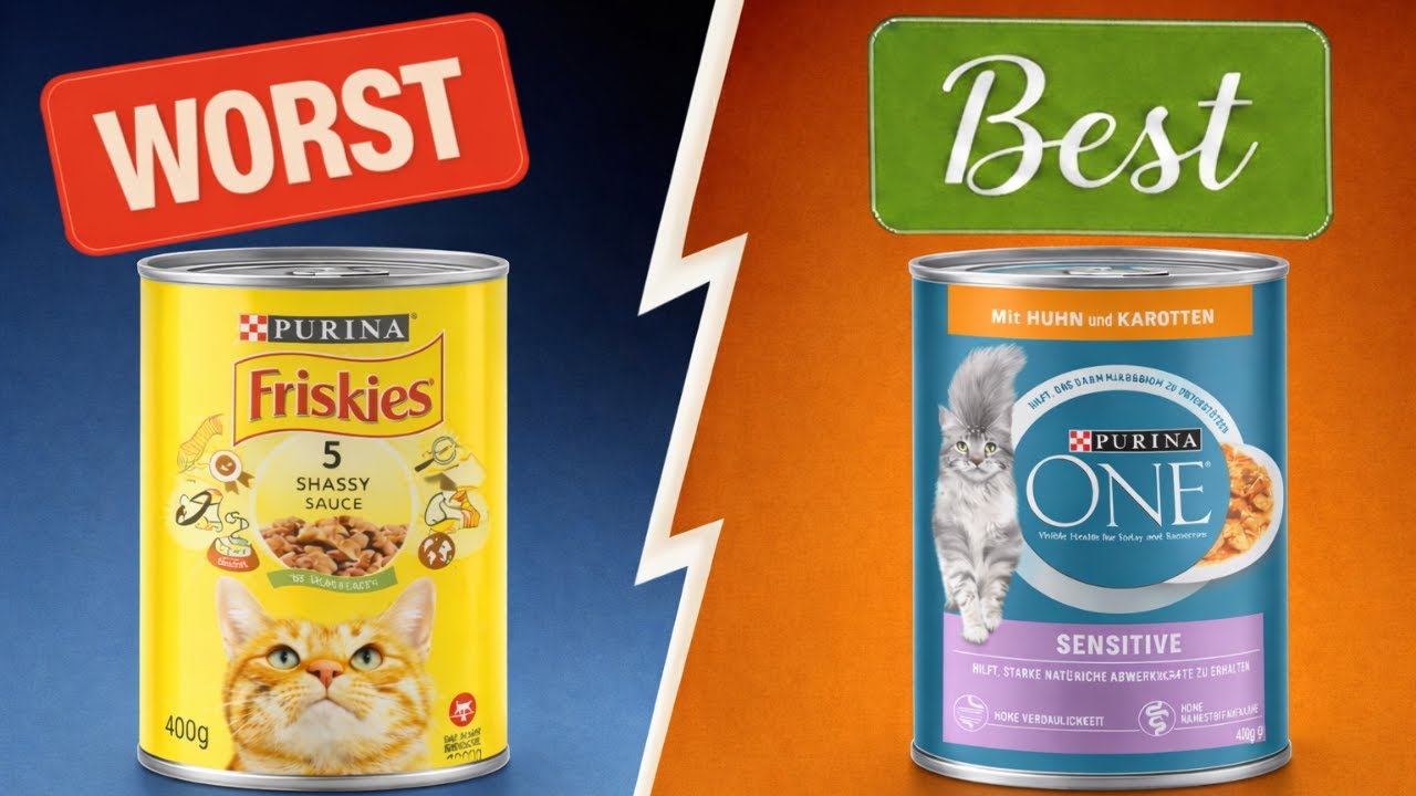 Wet Cat Food Brands To AVOID At All Costs! (SENIORS, PAY ATTENTION)