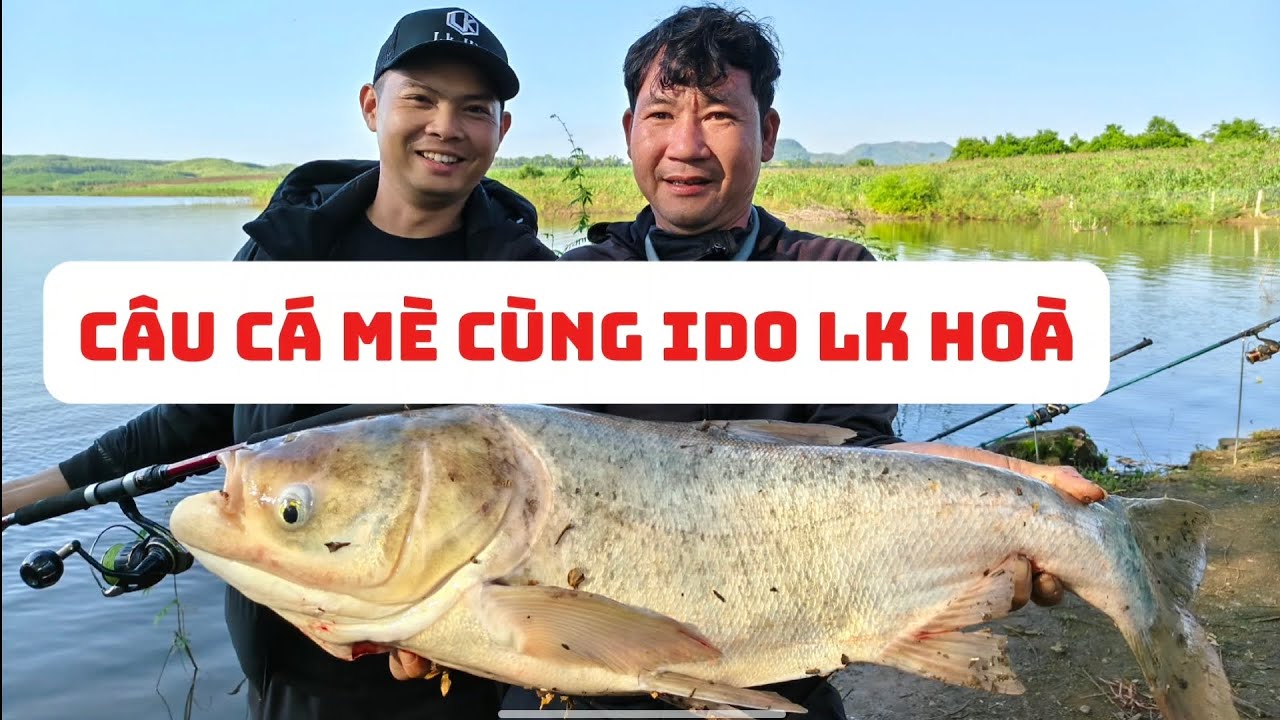 Câu cá mè cùng ido lk hoà 
