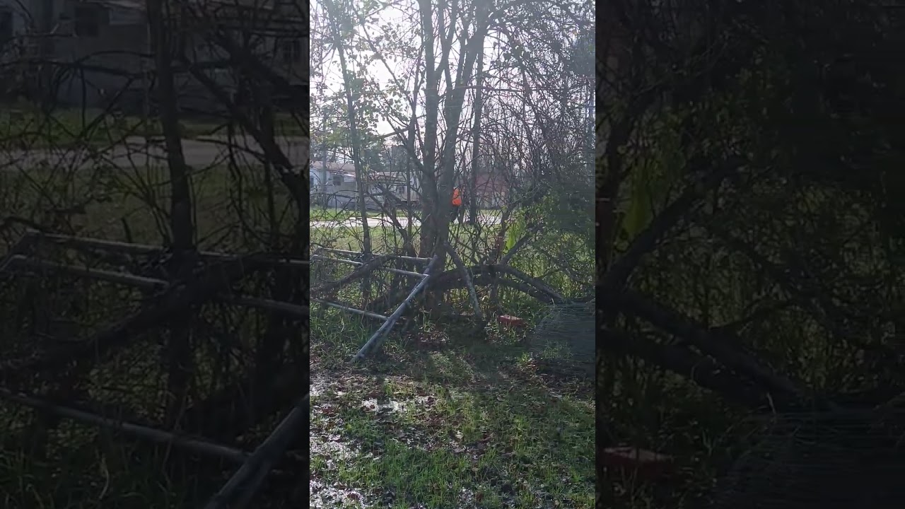 rown workers for jonesville Louisiana working hard 