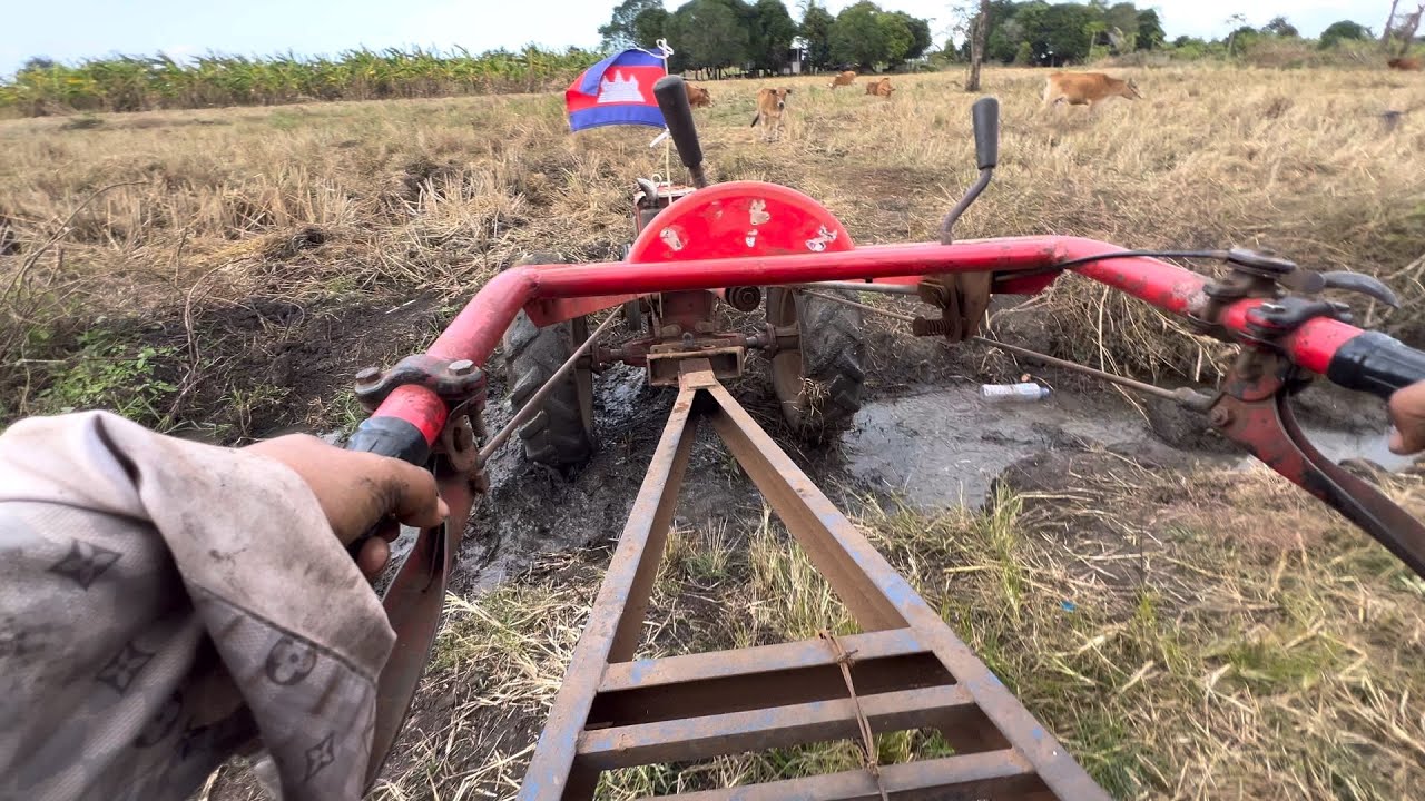 ដឹកជីចេញទៅផ្ទះហើយ