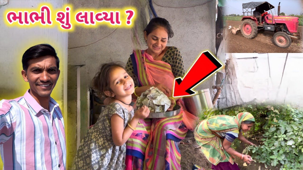 ભાભી અમારી હારુ આ શું લાવ્યા 🤔 || ઉનાળુ ખેડ || Life at Botad Village Vlogs 
