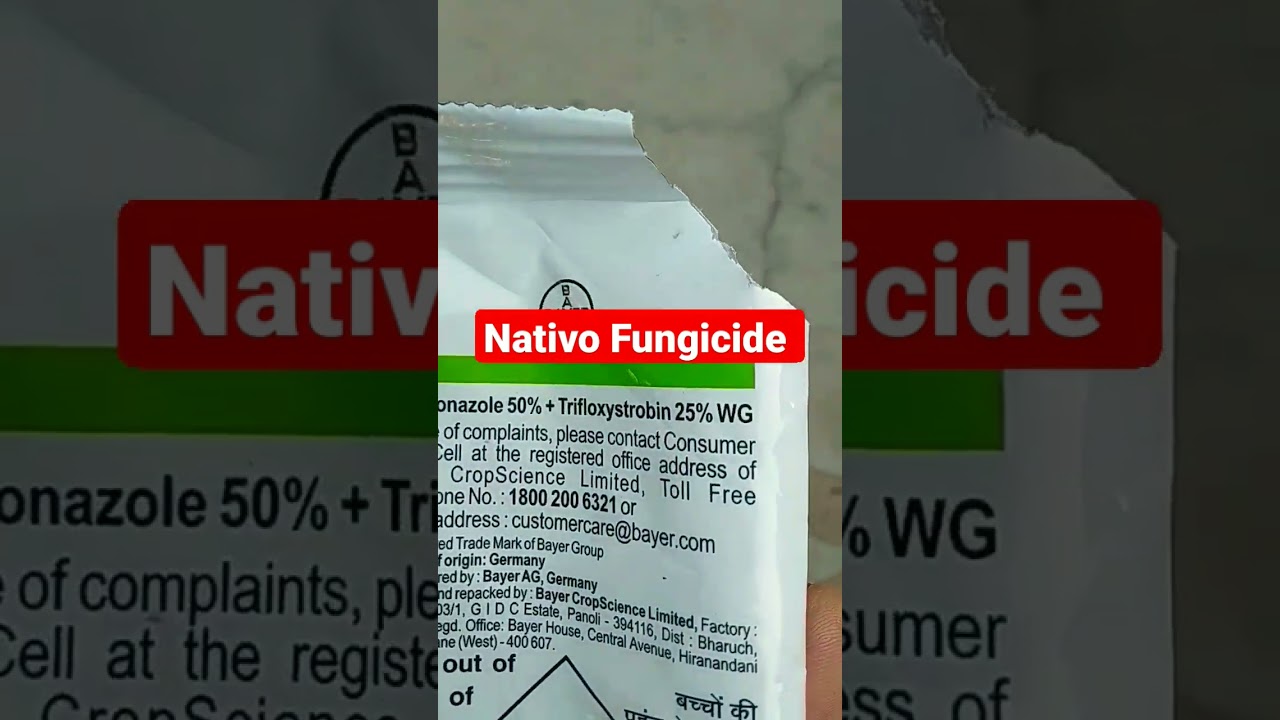Nativo fungicide, systemic fungicide #kheti