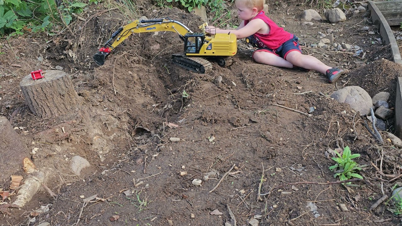 Kabolite K961 stump removal part 30