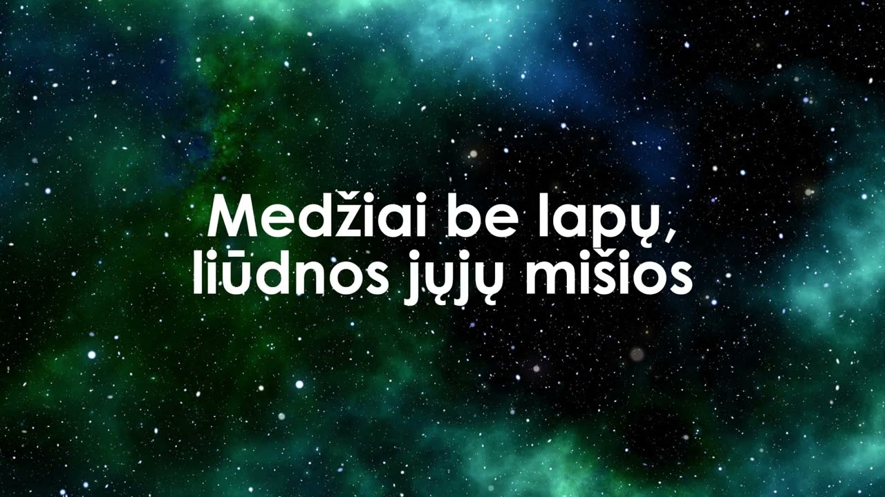 Medžiai be lapų - 