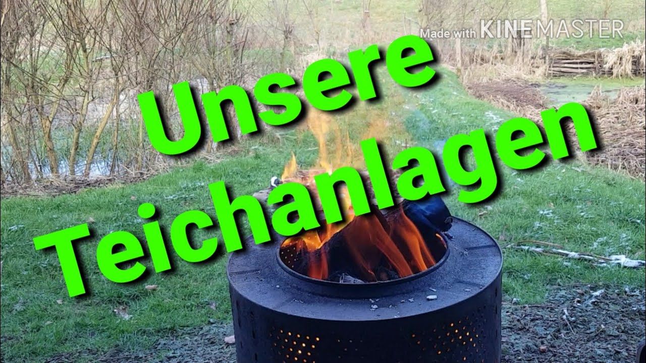 Teichanlage Vorstellung