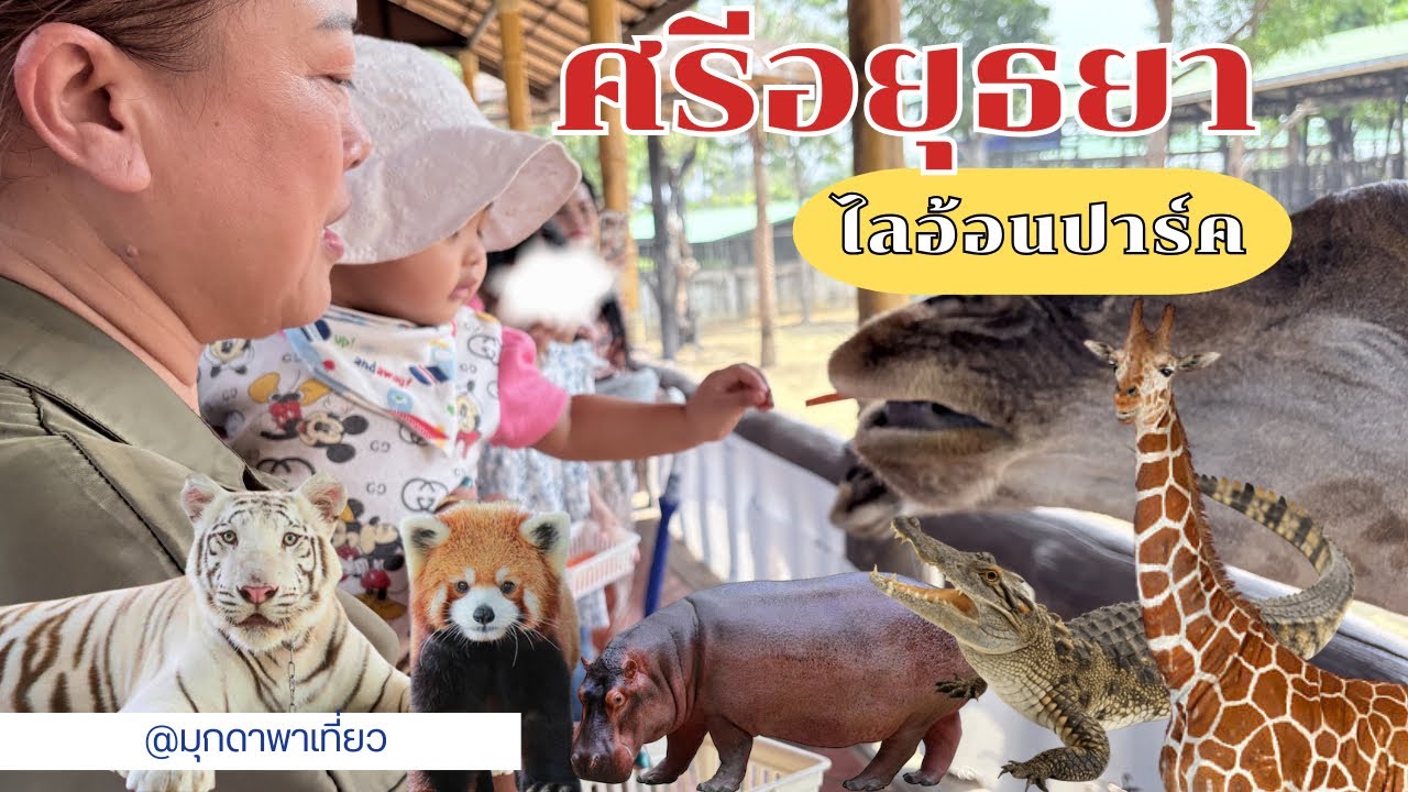 EP.1 สวนสัตว์ศรีอยุธยา ไลอ้อน ปาร์ค 🦒