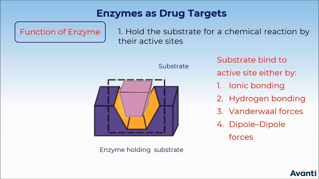 3. 12C16.1 CV 2 Drug Target Interaction Part 1