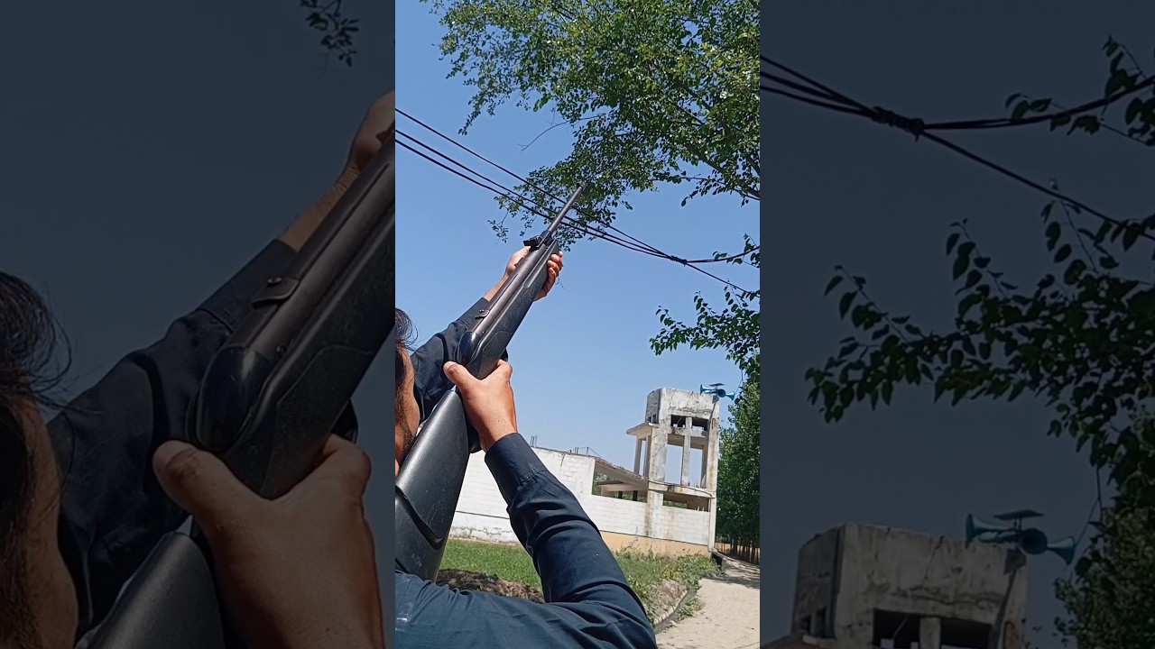 Tips for airgun hunting | Best hunting technique | Hunting gear | Hunting with airgun | Air rifle