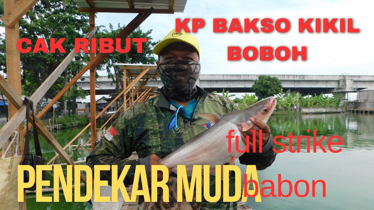 CAK RIBUT FULL STRIKE DI KP BAKIL BOBOH #mancing #mancingmania #mancingmaniagresik