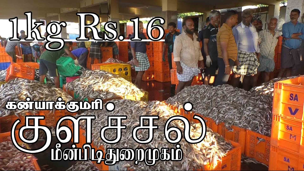 Colachel Fishing Harbour | குளச்சல் மீன்பிடித்துறைமுகம்