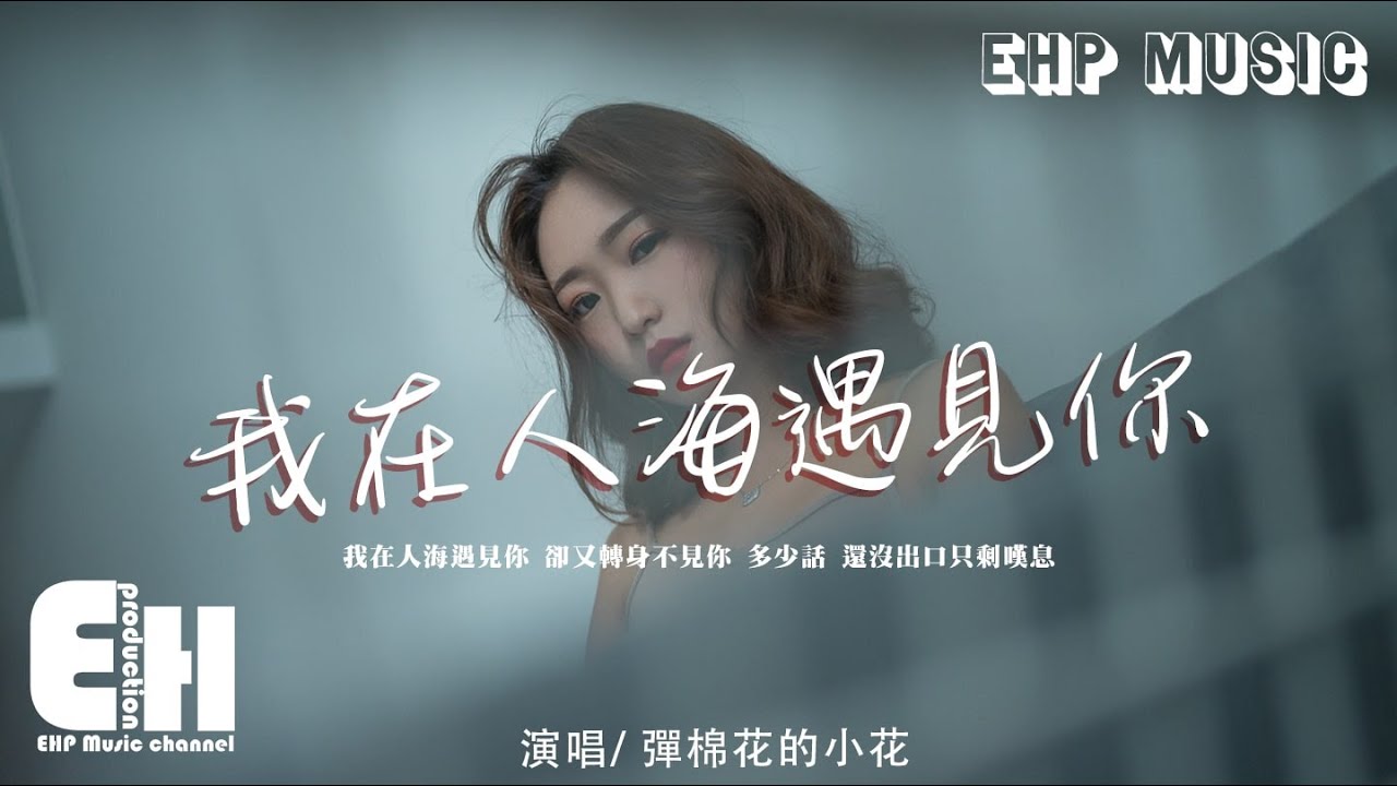 彈棉花的小花 - 我在人海遇見你（女聲版）（原唱：王韻）『我在人海遇見你，卻又轉身不見你。』【動態歌詞/Vietsub/Pinyin Lyrics】