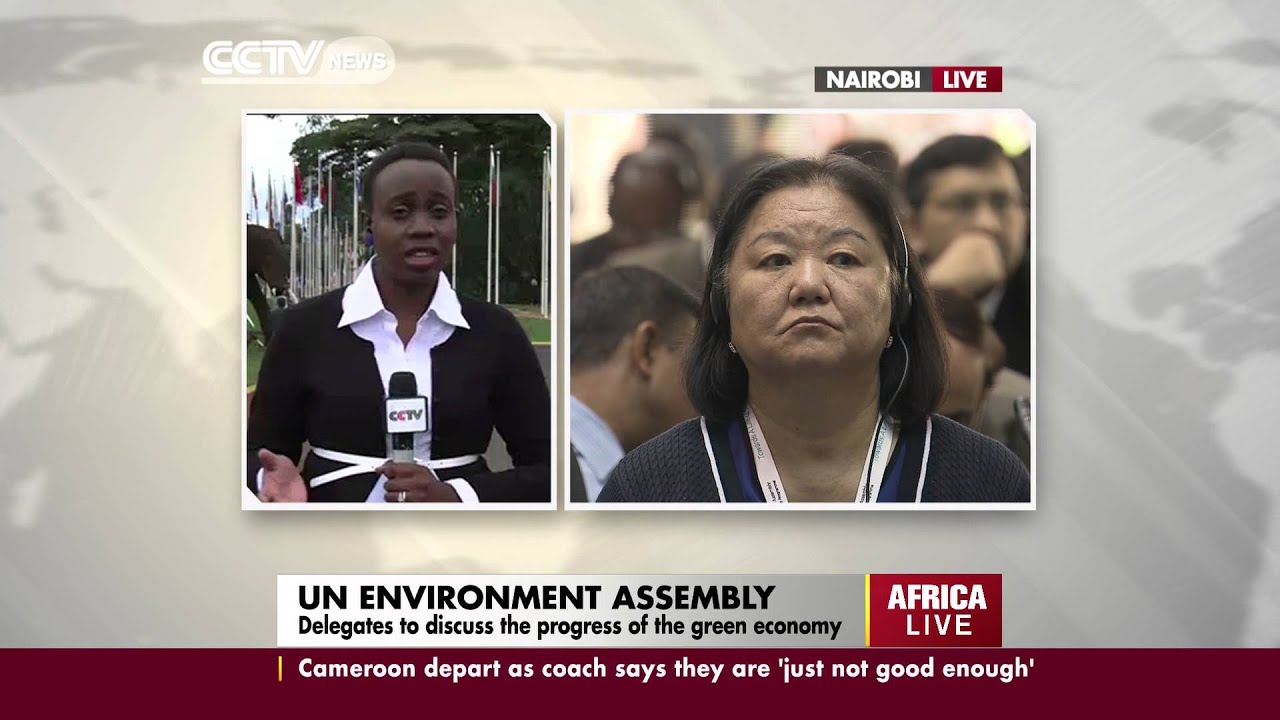 UN Environmental Assembly Conference in Nairobi