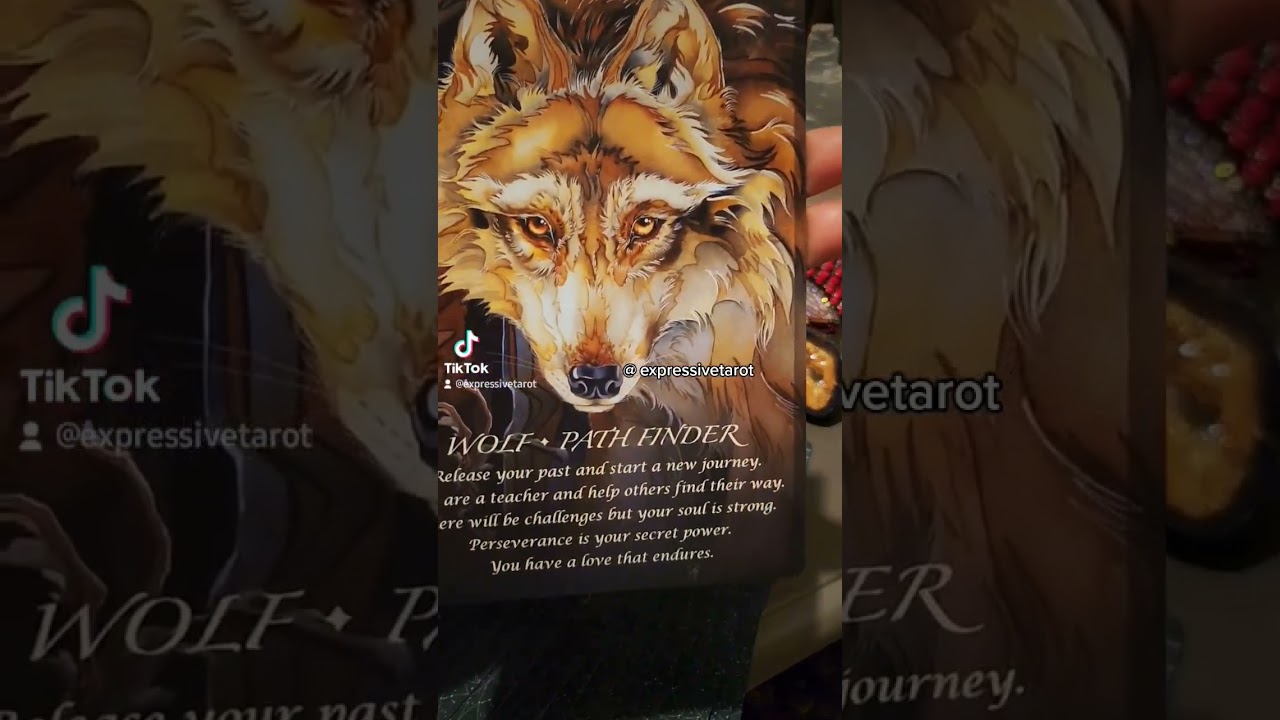 Spirit has a message for you 🌙 Oracle Cards✨️Psychic Reading