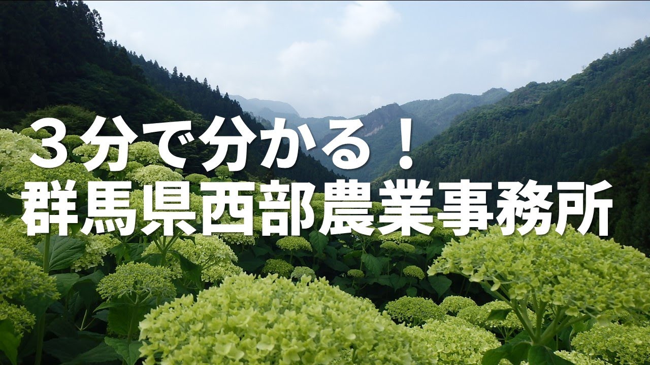 ３分で分かる！群馬県西部農業事務所【ずんだもん解説】｜西部農業事務所｜群馬県