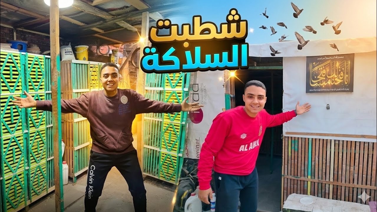 شطبت السلاكة الجديدة 🤩 وبصيت علي الزغليل الزواجل ( اخيرا خلصت)  #غاوي_السلاكة 