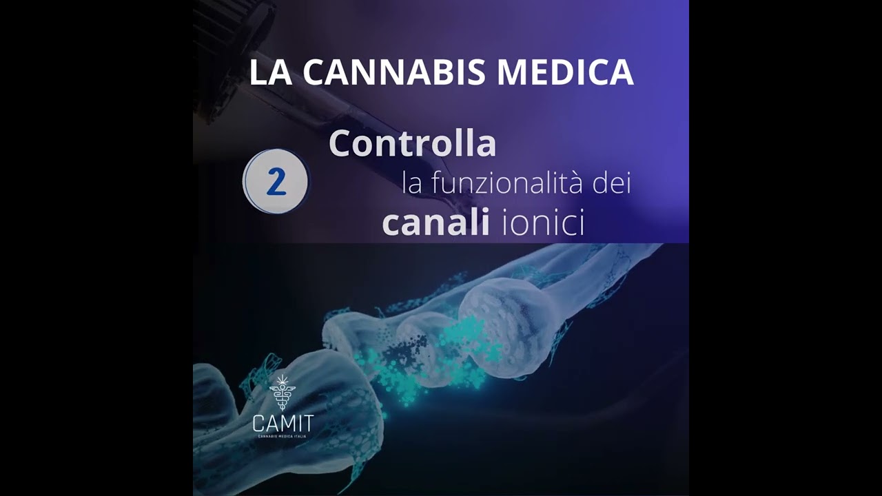 Epilessia e cannabis medica